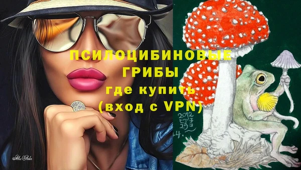 крисы Ладушкин