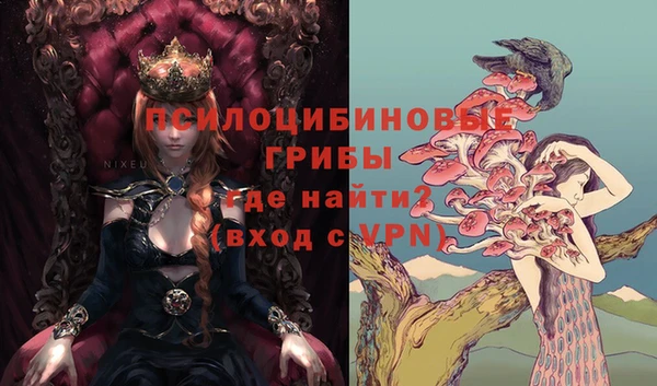крисы Ладушкин