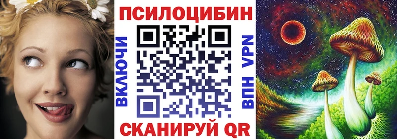 блэк спрут ссылки  где можно купить   Лодейное Поле  Галлюциногенные грибы Psilocybe 